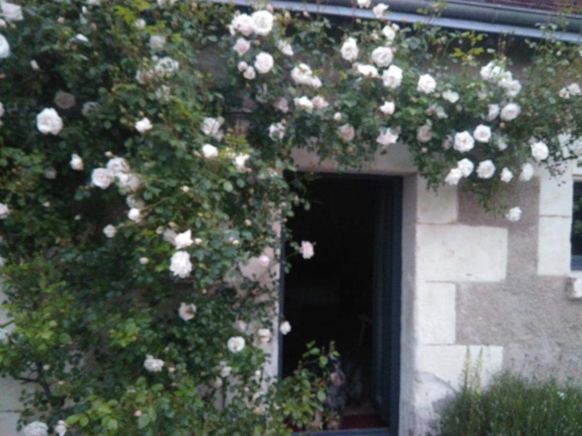 Au Jardin De La Marquetterie Vila Cigogne Exterior foto