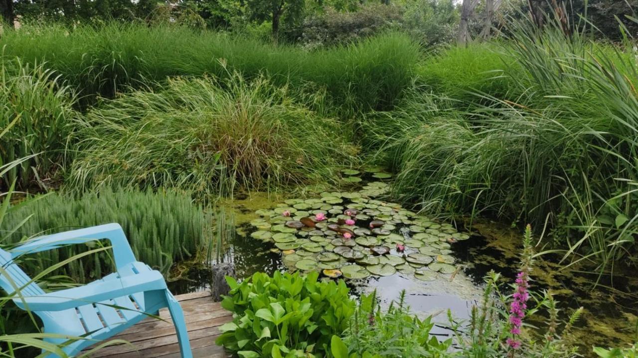 Au Jardin De La Marquetterie Vila Cigogne Exterior foto