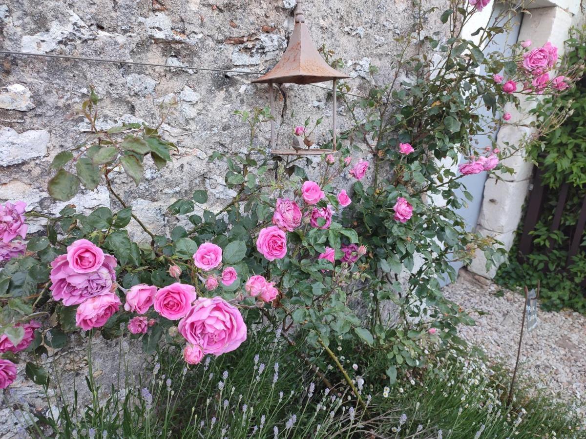 Au Jardin De La Marquetterie Vila Cigogne Exterior foto